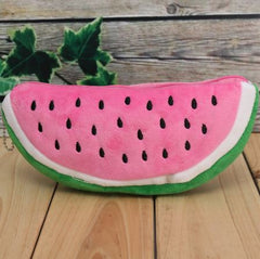 Watermelon Fruit Kids Pen Pencil Bag